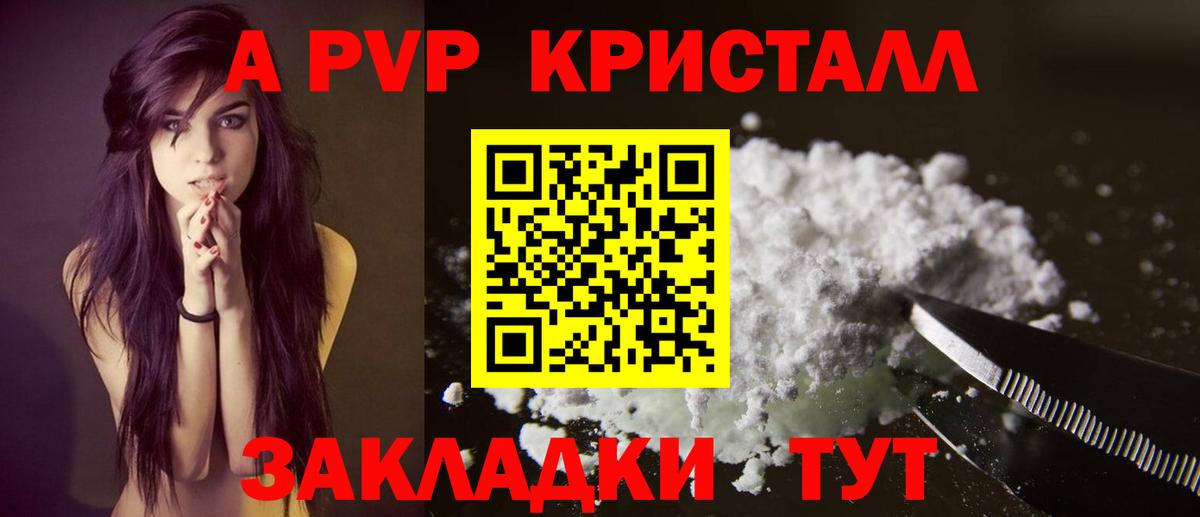 A PVP СК КРИС Новозыбков