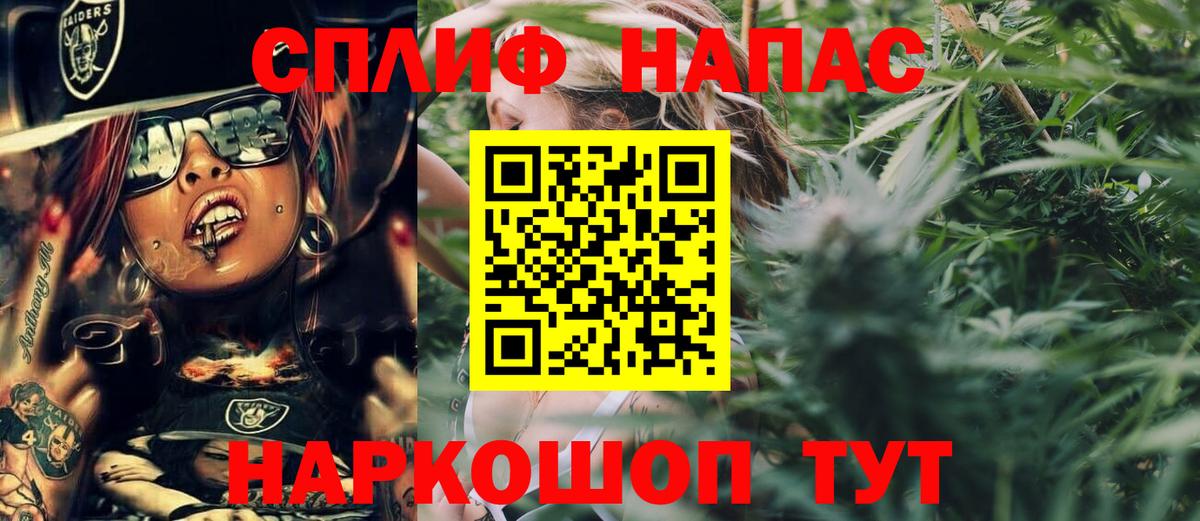 Конопля MAZAR  МАРИХУАНА семена  Вход с VPN  Новозыбков  Каннабис VHQ  Конопля AK-47 